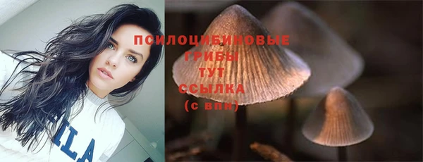 COCAINE Верея